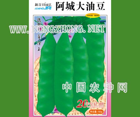 阿城大油豆